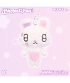 IRENE - 1ST ALBUM [BIGGEST FAN] (BAEBAE VER.)